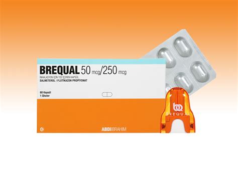 brequal 50 250 nasıl kullanılır